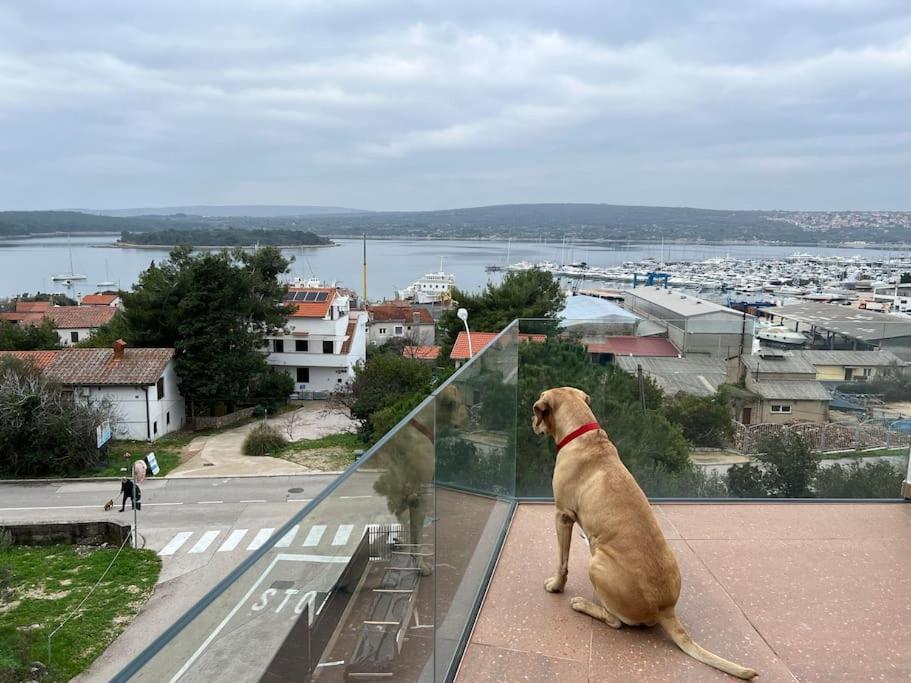 Panorama Penthouse Punat Exteriör bild